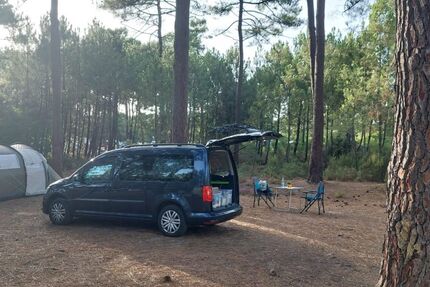 VW Caddy Maxi 172.000 km 16.000 &euro; Lengerich 49525