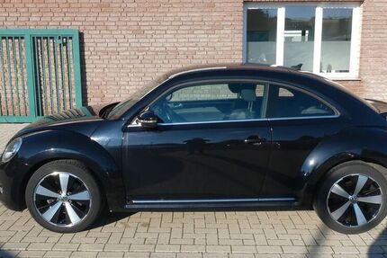 VW Beetle