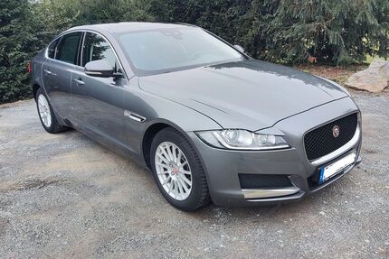 Jaguar XF 223.000 km 9.000 &euro; Hagen am Teutoburger Wald 49170
