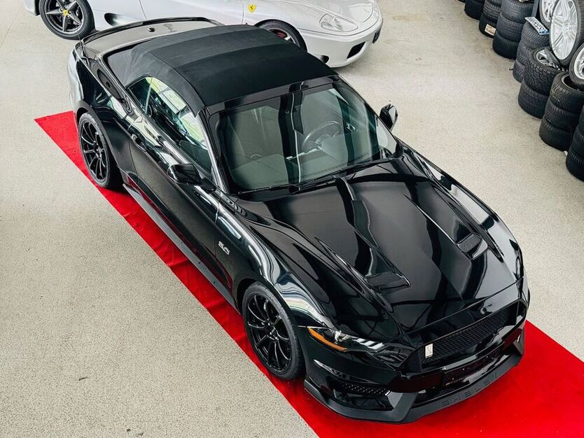 Mustang