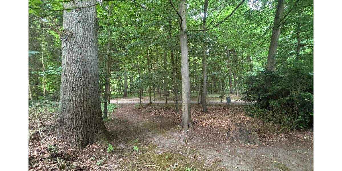 Doppelhaushälfte mit 2 Wohneinheiten in Osnabrück-Eversburg 9 zimmer