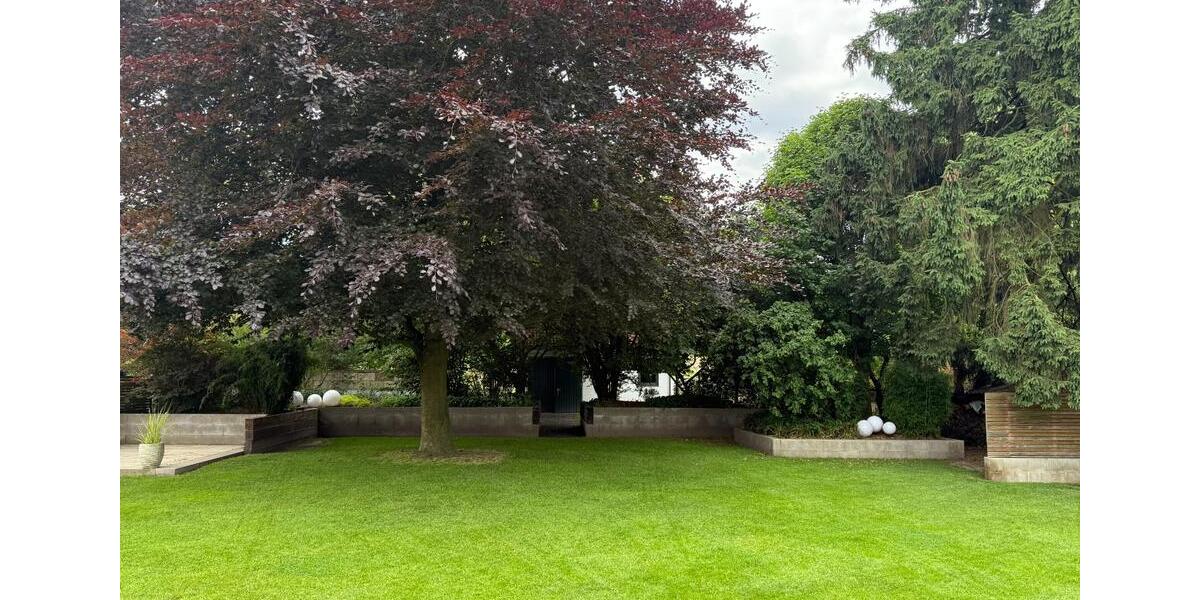 Einfamilienhaus Westerkappeln - 6 Zimmer, 205 m&sup2;, 650.000&euro; | Angebot:25323663