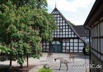 Historisches und vielseitig nutzbares Hofgebäude im Ortskern von Schledehausen nahe Osnabrück