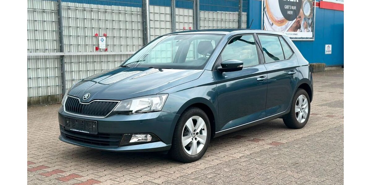 Skoda Fabia 124.976 km 9.200 &euro; Melle 49324