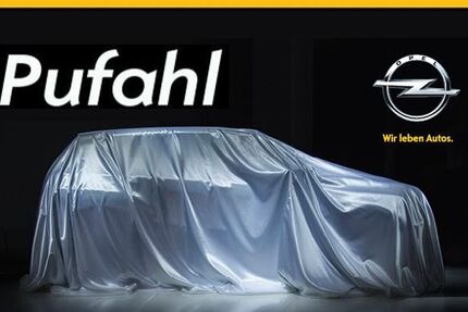 Opel Grandland (X) 39.000 km 19.900 &euro; Lengerich 49525