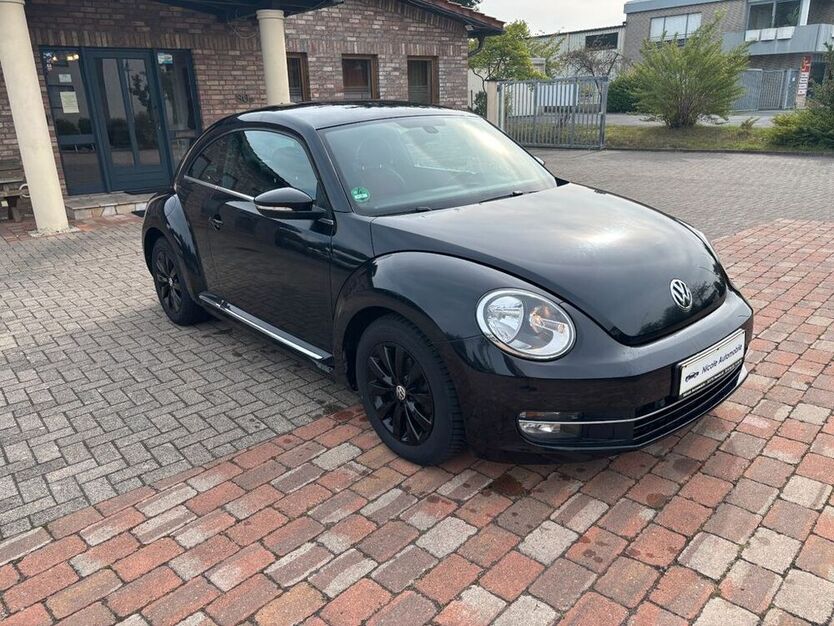 Beetle