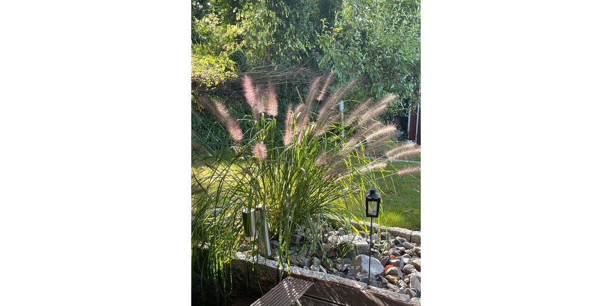 Einfamilienhaus Bad Iburg - 4 Zimmer, 220 m&sup2;, 535.000&euro; | Angebot:26014116