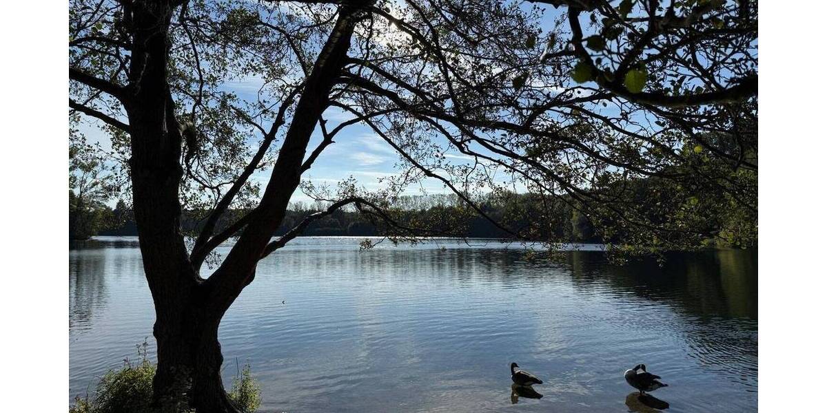 Grundstück Osnabrück Eversburg - 499.000&euro; | Angebot:25673332