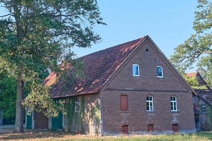 Haus Lienen - 6 Zimmer, 207 m&sup2;, 300.000&euro; | Angebot:27288832
