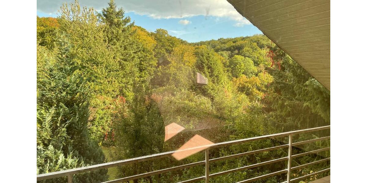 Mehrfamilienhaus, Wohnhaus Bad Iburg - 10 Zimmer, 285 m&sup2;, 590.000&euro; | Angebot:25857493