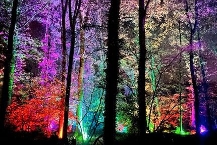 Citroen Berlingo 42.500 km 12.790 € Bad Iburg 49186