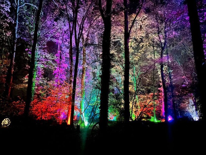 Citroen Berlingo 42.500 km 12.790 € Bad Iburg 49186