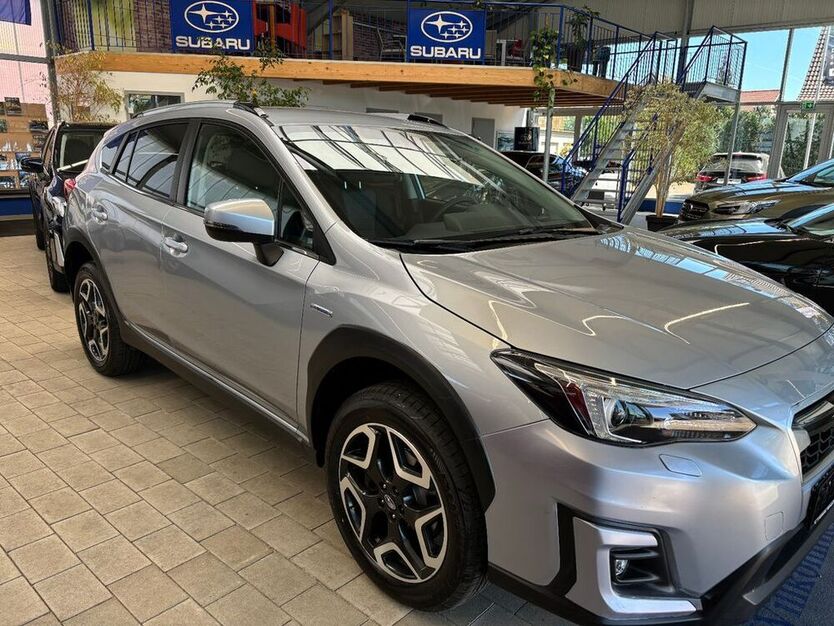 XV