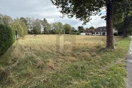 VIEL PLATZ FÜR IHRE IMMOBILIENPROJEKTE - Grundstück Hasbergen | Angebot:25331431