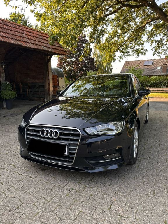 A3