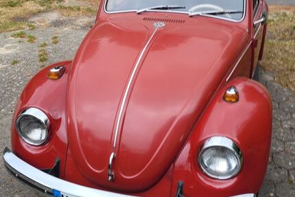 VW Käfer 48.000 km 14.900 &euro; Bissendorf 49143