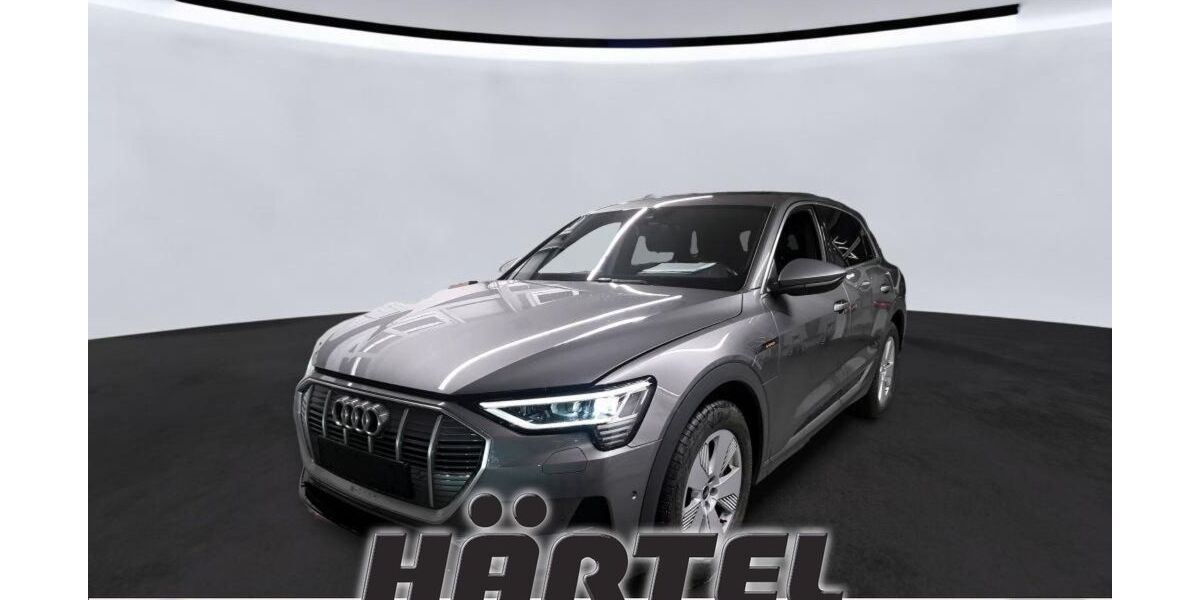 Audi e-tron 31.300 km 29.100 &euro; Osnabrück 49084
