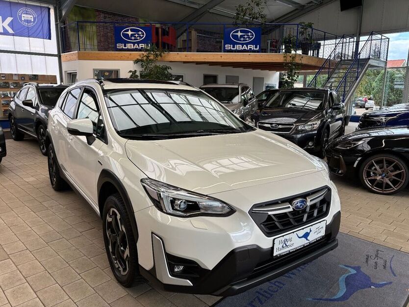 XV