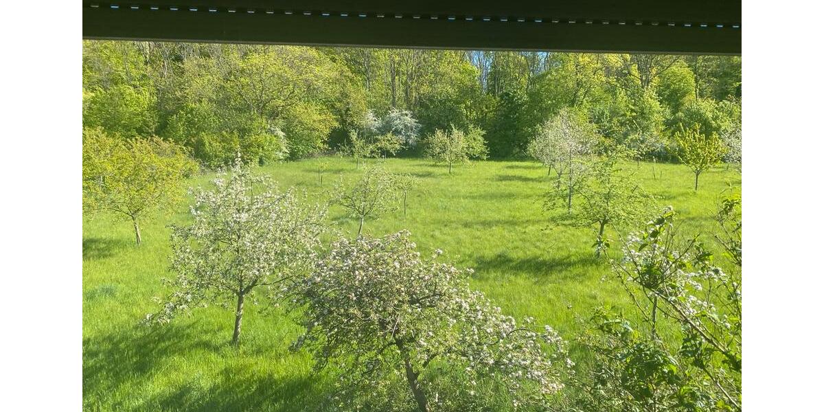Etagenwohnung Lengerich - 3 Zimmer, 80 m&sup2;, 700&euro; | Angebot:26380596