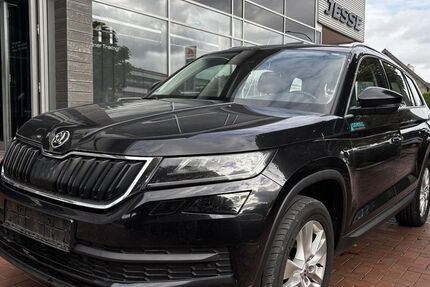 Skoda Kodiaq 173.100 km 16.000 € Ibbenbüren 49477