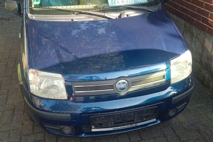 Fiat Panda 269.000 km 1.300 € Bramsche 49565