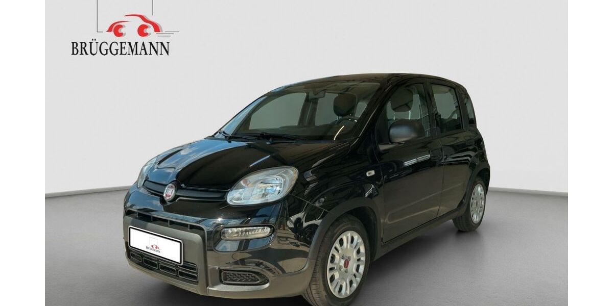 Fiat Panda 42.791 km 10.200 &euro; Osnabrück 49078