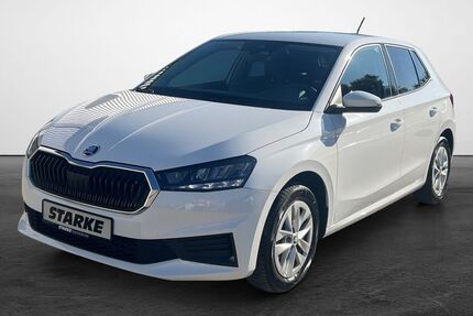 Skoda Fabia 39.229 km 13.490 &euro; Georgsmarienhütte 49124