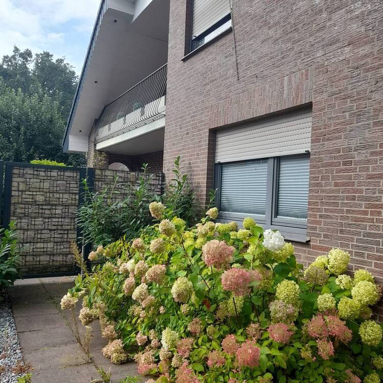 Preisreduzierung Ein- bis Zweifamilienhaus im Ortskern von Wallenhorst - Hollage