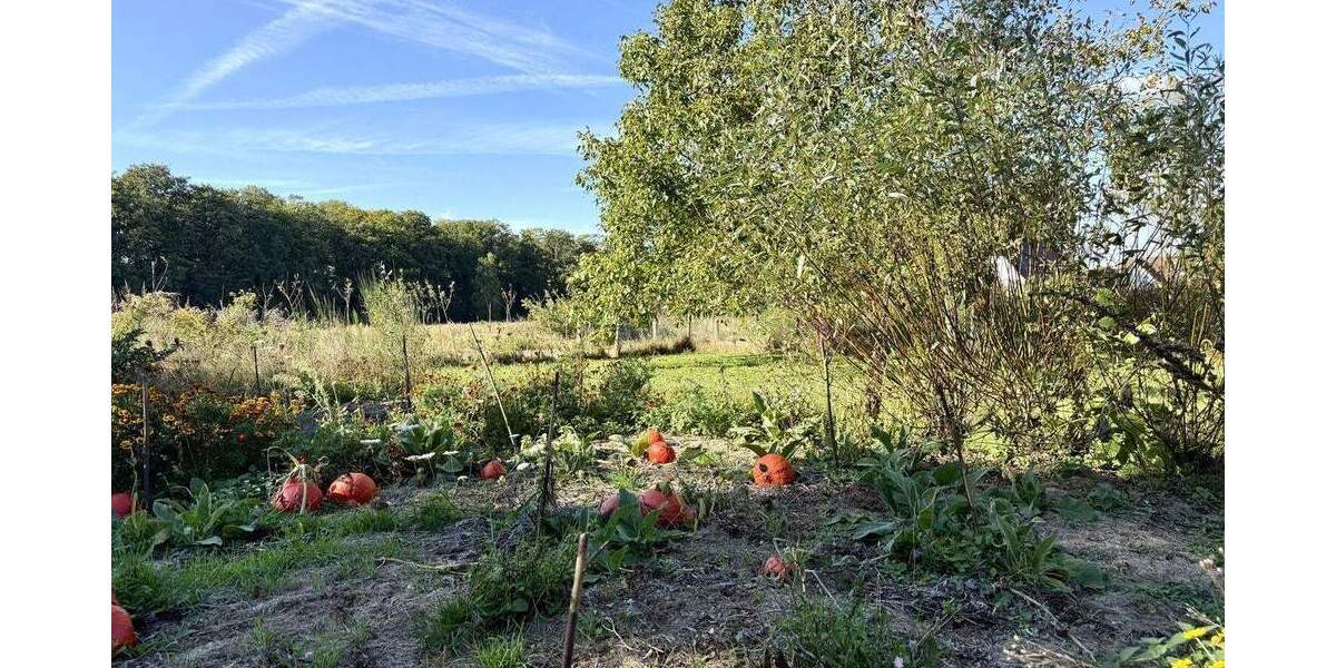 Grundstück Osnabrück Eversburg - 250.000&euro; | Angebot:25386912