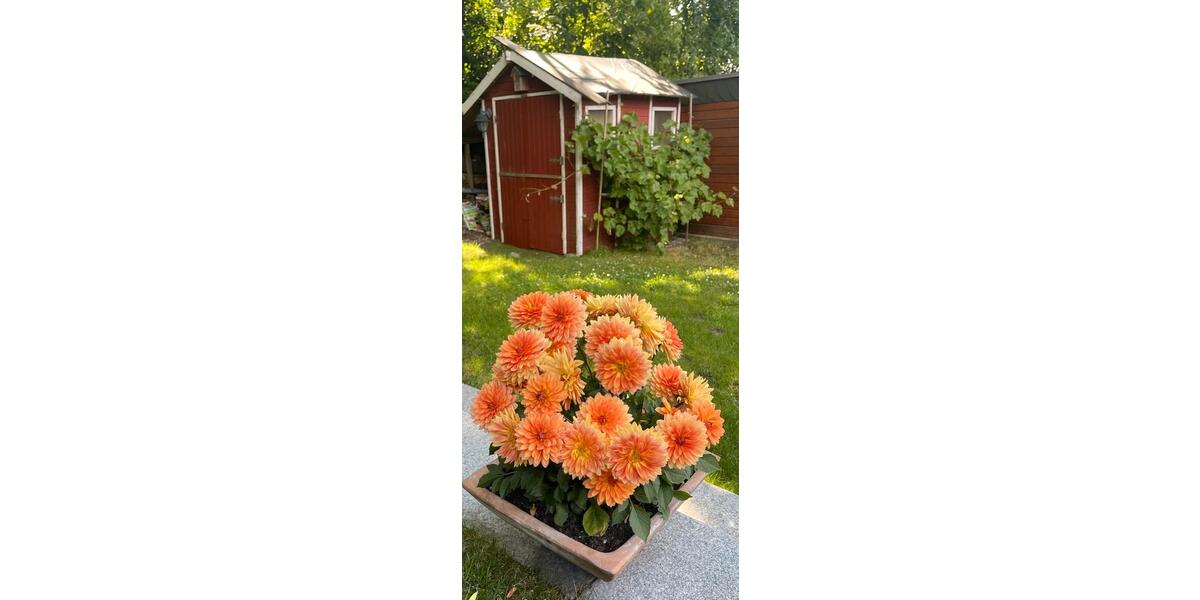 Einfamilienhaus Bad Iburg - 4 Zimmer, 220 m&sup2;, 535.000&euro; | Angebot:26014116