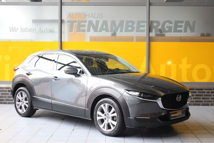 Mazda CX-3 52.800 km 22.600 &euro; Mettingen 49497