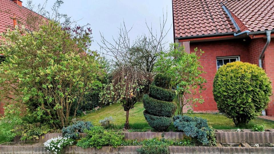 Einfamilienhaus Bohmte - 8 Zimmer, 126 m&sup2;, 320.000&euro; | Angebot:25961625