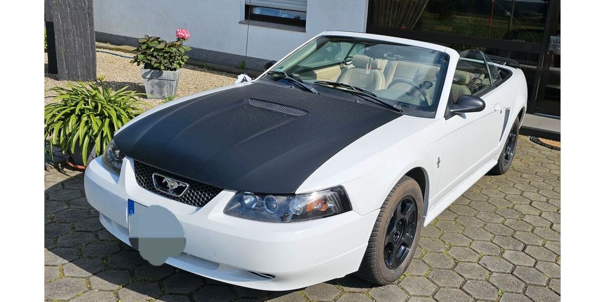Ford Mustang 141.000 km 8.700 &euro; Bad rothenfelde 49214