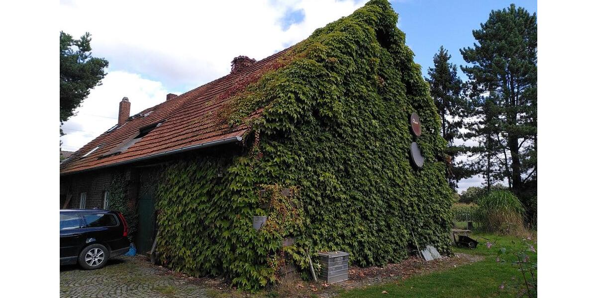 Bauernhaus, Landhaus Lienen - 6 Zimmer, 200 m&sup2;, 340.000&euro; | Angebot:27070761