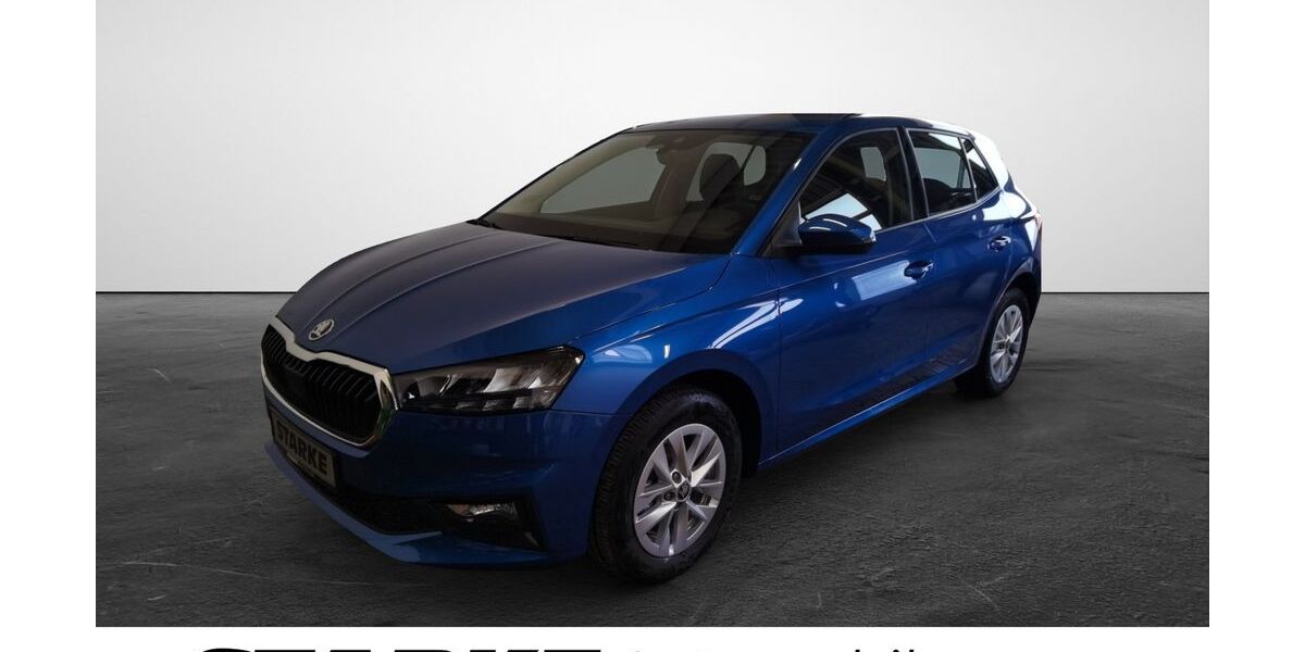 Skoda Fabia 12.336 km 17.490 &euro; Georgsmarienhütte 49124