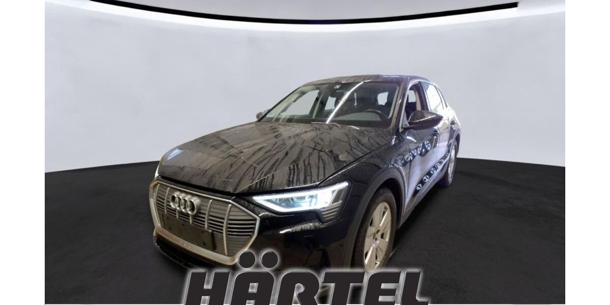 Audi e-tron 31.900 km 29.800 &euro; Osnabrück 49084