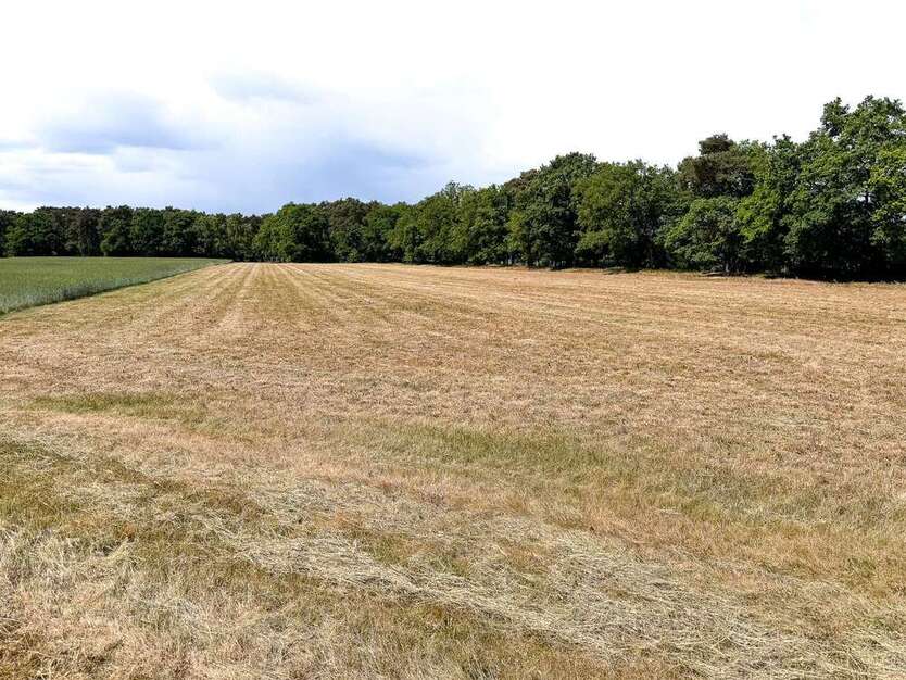 Grundstück zu verkaufen in Lengerich 100.000 € 12447 m² zimmer