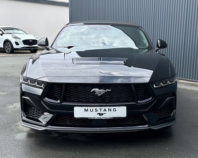 Mustang