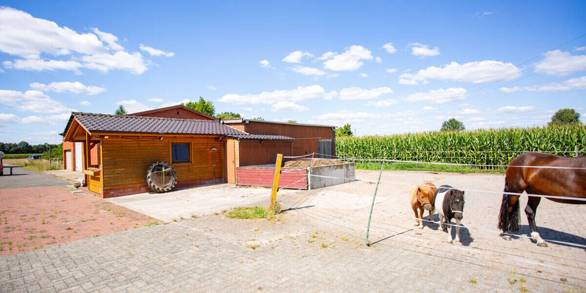 Mehrfamilienhaus, Wohnhaus Bad Essen / Rabber Rabber - 1 Zimmer, 387 m&sup2;, 599.000&euro; | Angebot:26798763