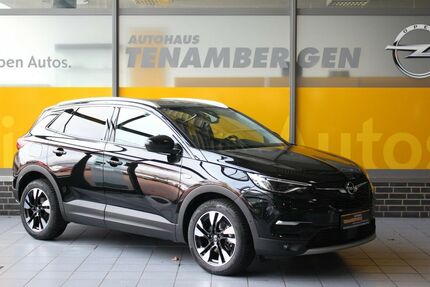 Opel Grandland (X) 9.000 km 25.950 € Mettingen 49497