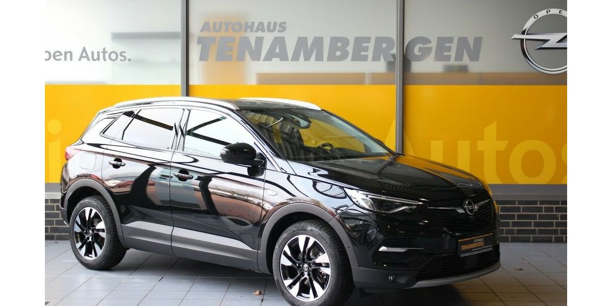 Opel Grandland (X) 9.000 km 25.950 &euro; Mettingen 49497
