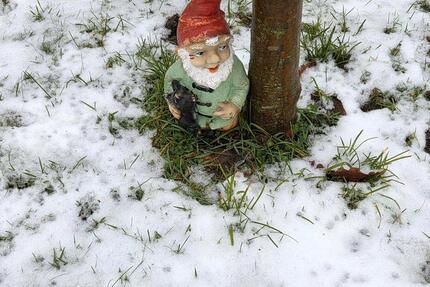 Apartment 35qm, 1,5 Zimmer, DG, Nähe Ostercappeln 1.5 zimmer