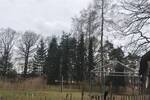 Mehrfamilienhaus, Wohnhaus Neuenkirchen Vinte - 1 Zimmer, 260 m&sup2;, 840.000&euro; | Angebot:26733354
