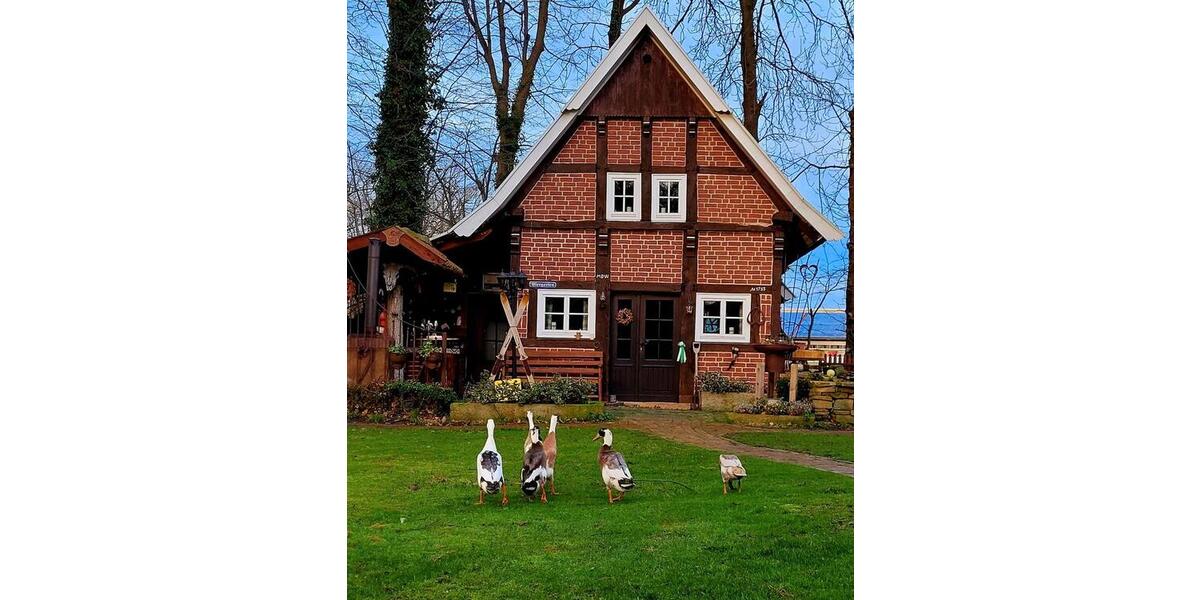 Bauernhof, Resthof 8 zimmer