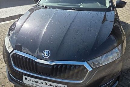 Skoda Octavia 240.000 km 12.600 &euro; Versmold 33775