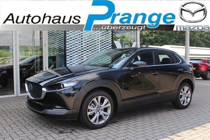 Mazda CX-30 19.926 km 29.885 € Hilter 49176