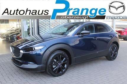 Mazda CX-30 62.298 km 19.885 &euro; Hilter-Hankenberge 49176