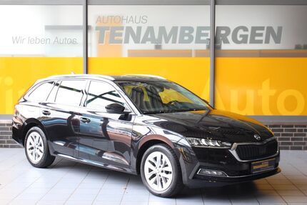 Skoda Octavia 169.440 km 19.400 € Mettingen 49497