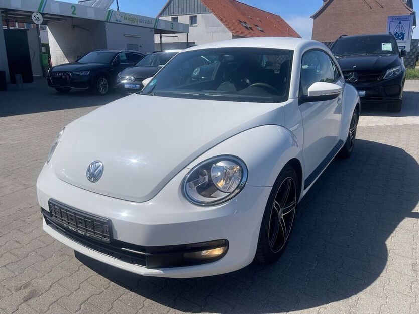Beetle