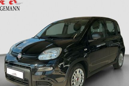 Fiat Panda 42.791 km 11.490 € Osnabrück 49078